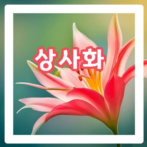 짙은-분홍색의-상사화