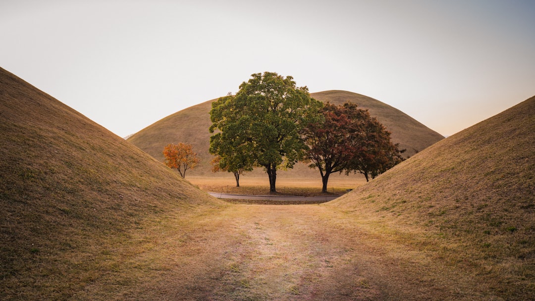 Gyeongju.