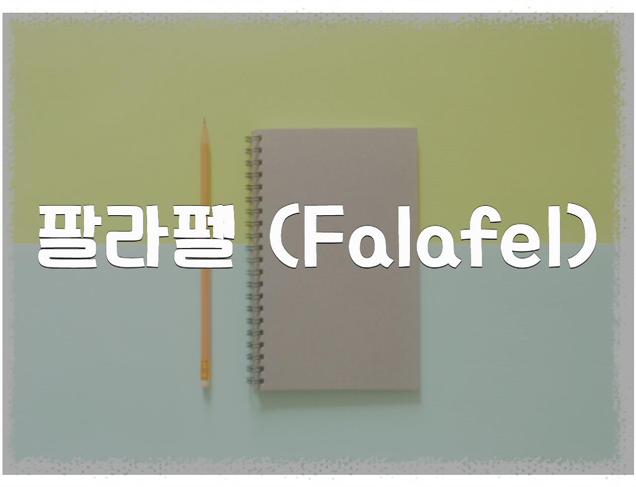 캐나다 토론토, 미식 여행객의 천국 : - 알아보자 :: 캐나다 토론토, 미식 여행객의 천국 : - 팔라펠 (Falafel) 캐나다 토론토, 미식 여행객의 천국 : - 알아보자 :: 캐나다 토론토, 미식 여행객의 천국 : - 팔라펠 (Falafel)