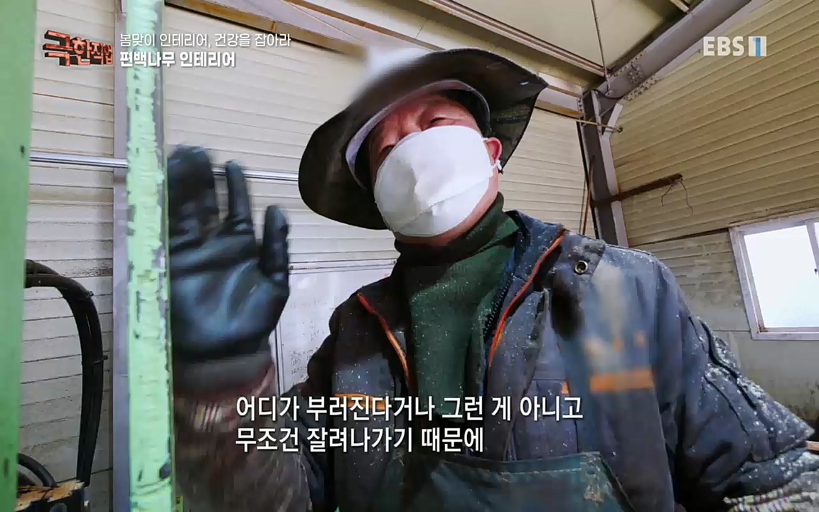 TV - 교육의 중심 EBS봄맞이 인테리어, 천연 소재로 건강을 잡아라.mp4_20220514_192322.103.jpg