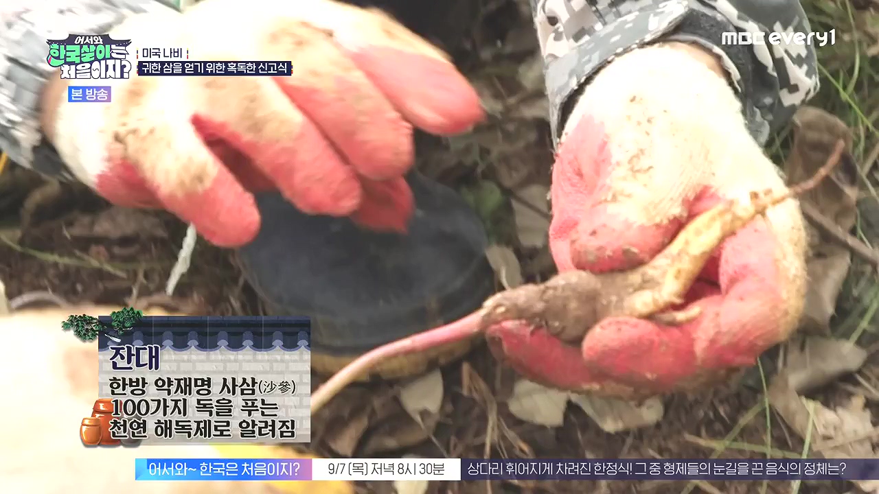 어서와 한국살이는 처음이지.E16.230905p-NEXT.mp4_20230906_203041.348.jpg