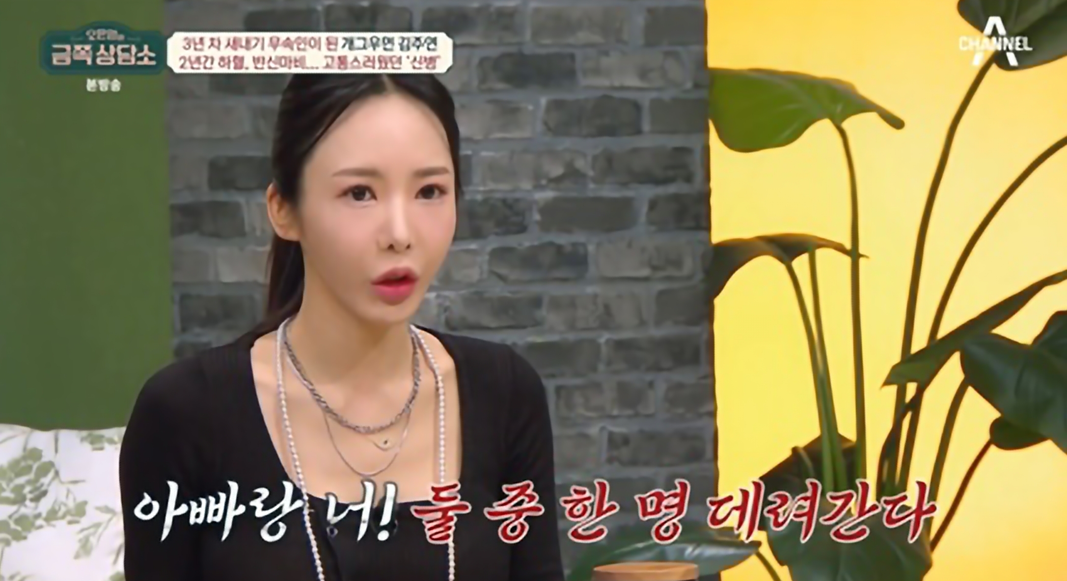 금쪽상담소 김주연