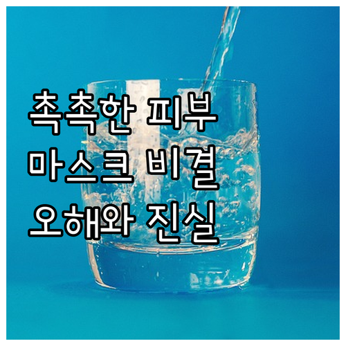촉촉한 시트 마스크 비결 파헤치기 재