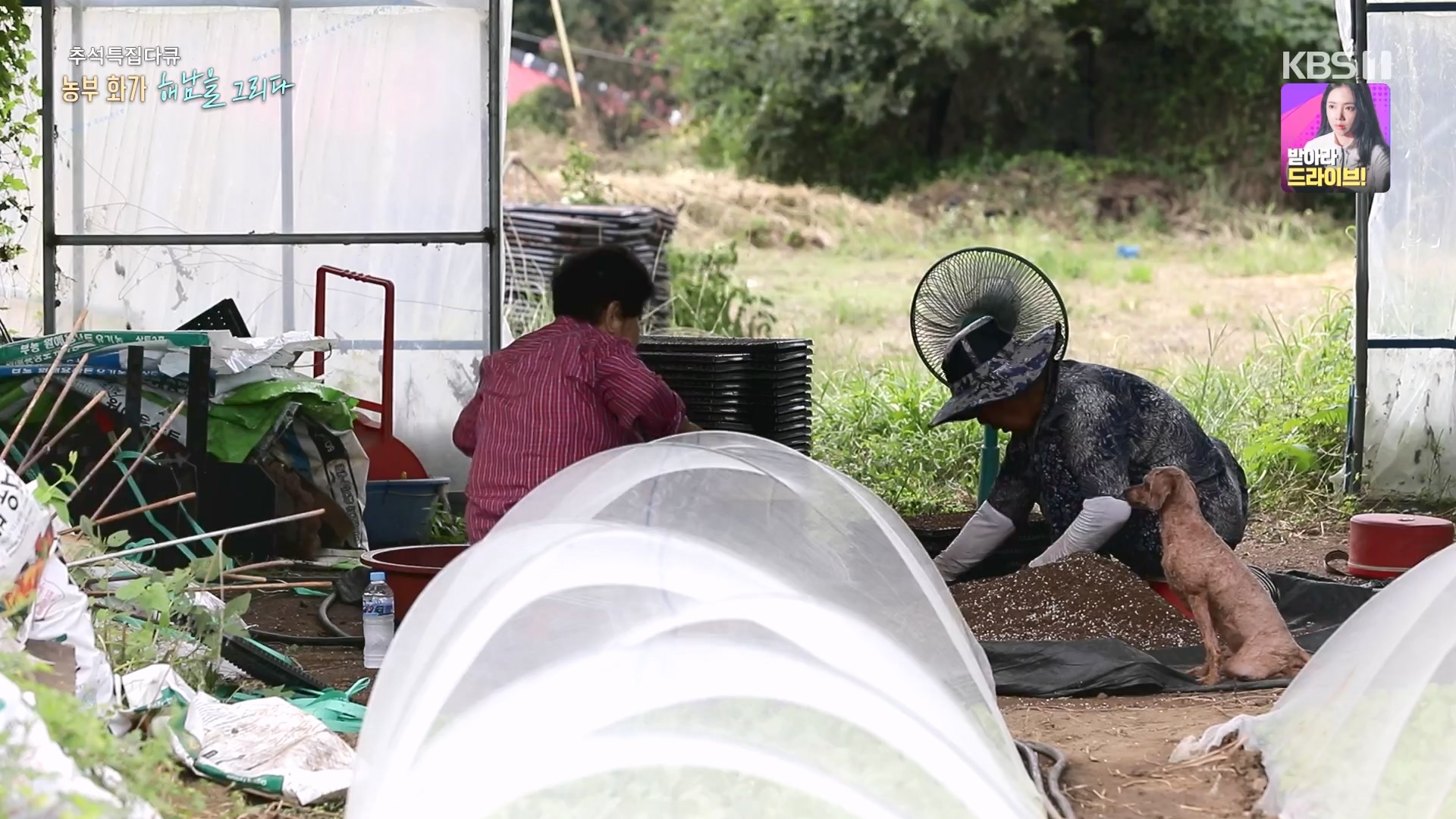 추석 특집 다큐 2부 - 농부화가 해남을 그리다.E02.230929p-NEXT.mp4_20231002_172251.951.jpg