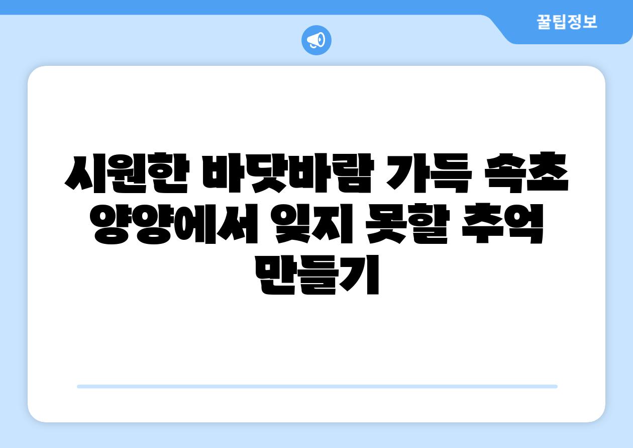 시원한 바닷바람 가득 속초 양양에서 잊지 못할 추억 만들기