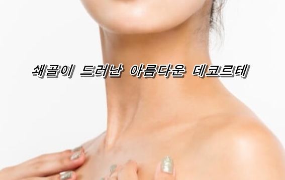  데코르테 살 빼기에 도움을 주는 근육 트레이닝 다이어트 메뉴