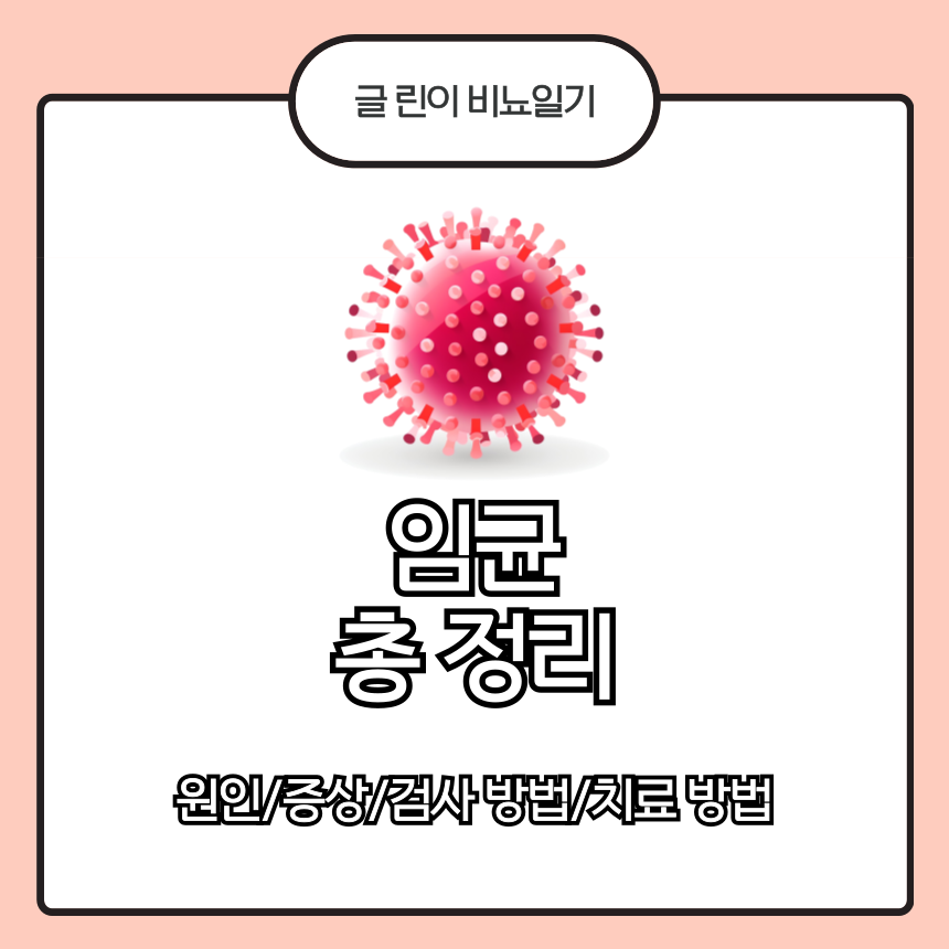  임균 총 정리