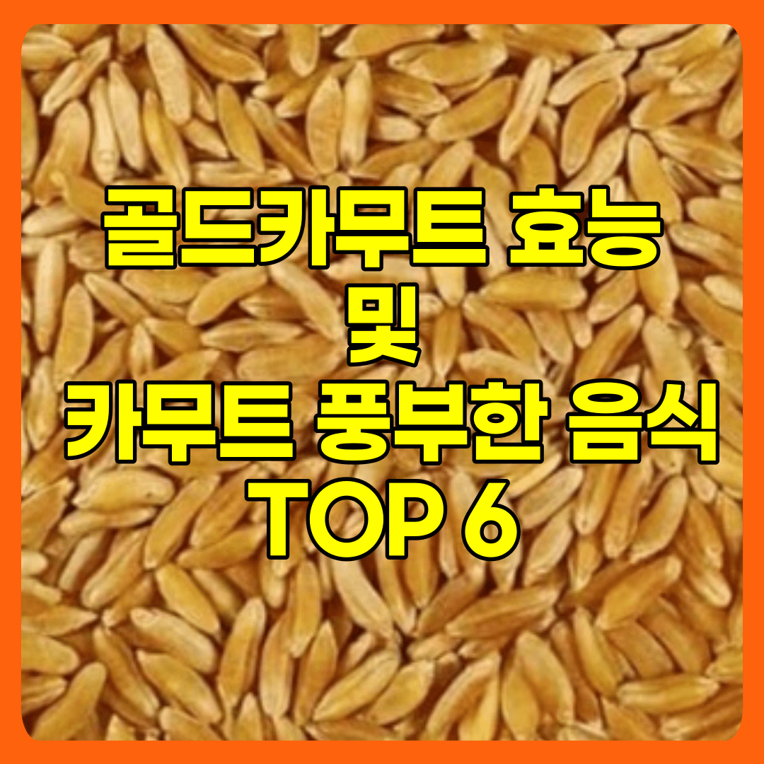  골드카무트 효소 효능 및 풍부한 음식 TOP6