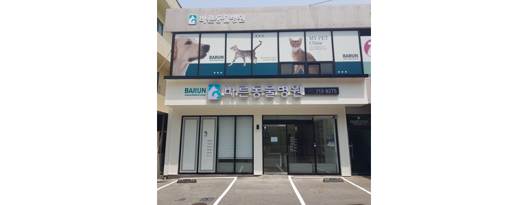 창원 마산회원구 동물병원