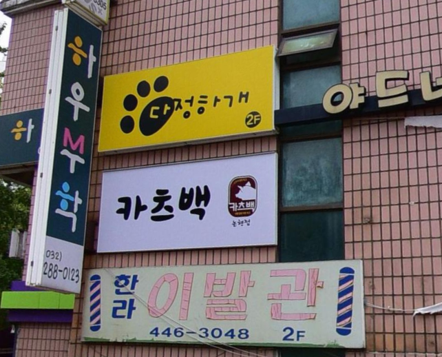 다정하개
