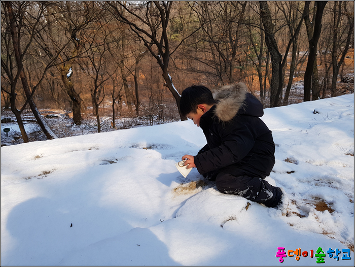 사계절을담다 이미지
