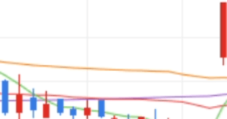 흥아해운 주가 전망