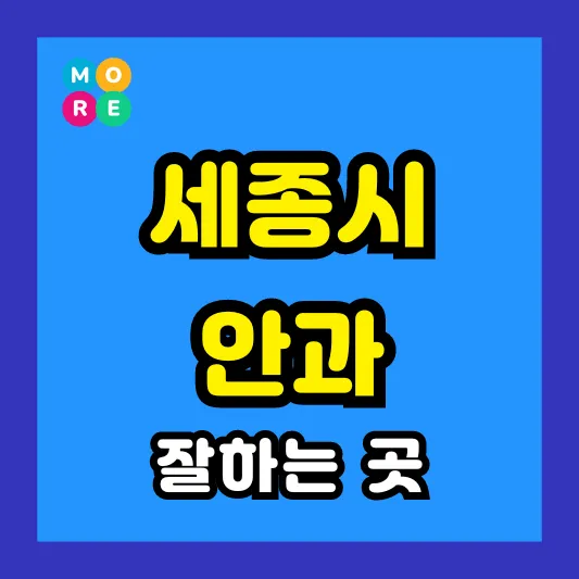 세종시 안과 잘하는 근처 전문병원 BEST 4곳 추천 ❘ 다래끼, 비문증, 결막염