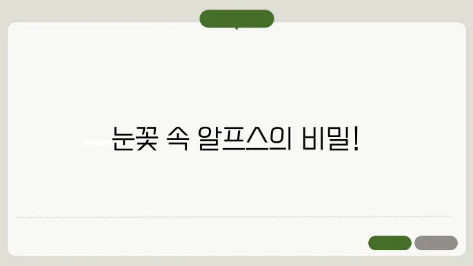 겨울철 따뜻한 먹거리를 찾을 수 있는 청양 알프스마을
