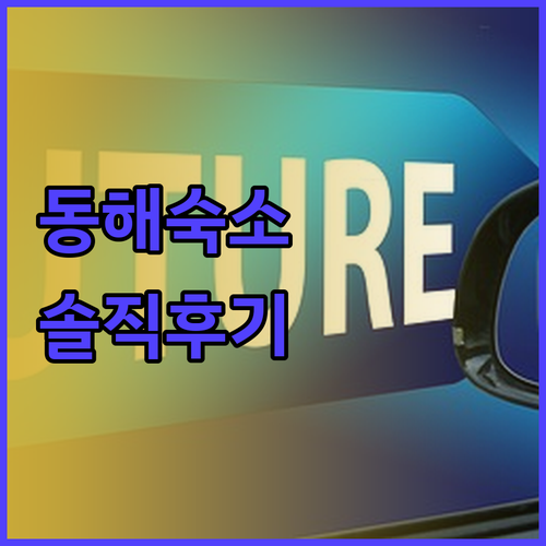 내돈내산 동해 숙소 리뷰 우유펜션 뉴