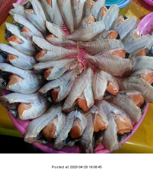  반건조 알가자미1kg 소금감안됨 알가자미 참가자미 국산 가자미 추천 후기 리뷰///