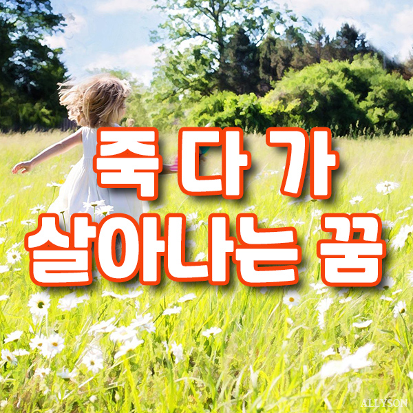  죽다가 살아나는 꿈 내가 우는 꿈해몽