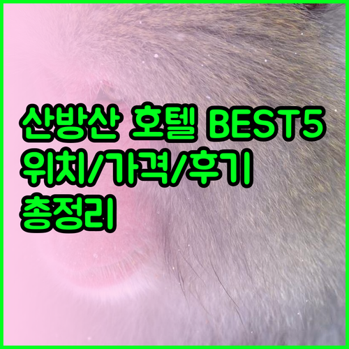 산방산 호텔 베스트5 위치 가격 특징