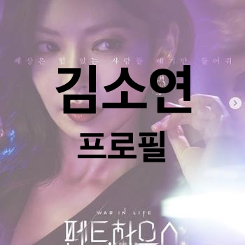  김소연 나이 과거 남편 이상우 , 연기대상