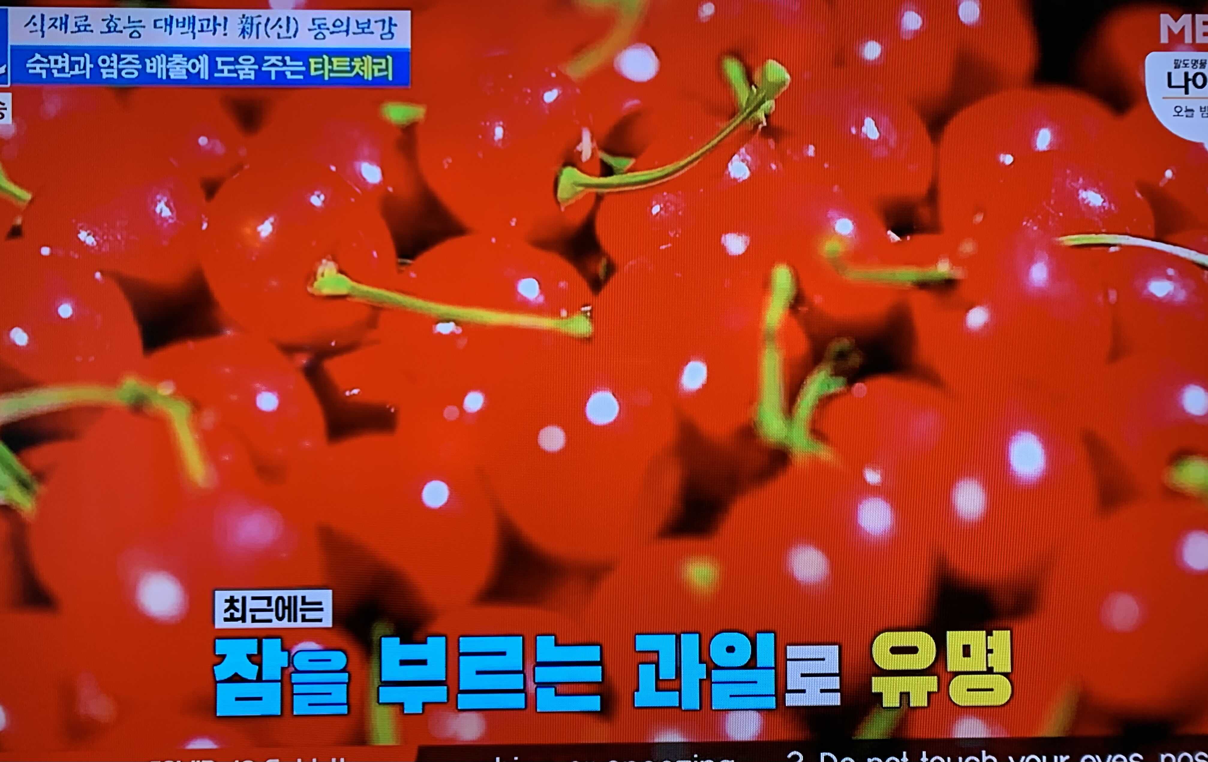  (천기누설 )수면장애예방 타트체리 효능 불면증극복비법  타트체리바나나푸당 래시피 말린타트체리건강바 만들기 445회 1218