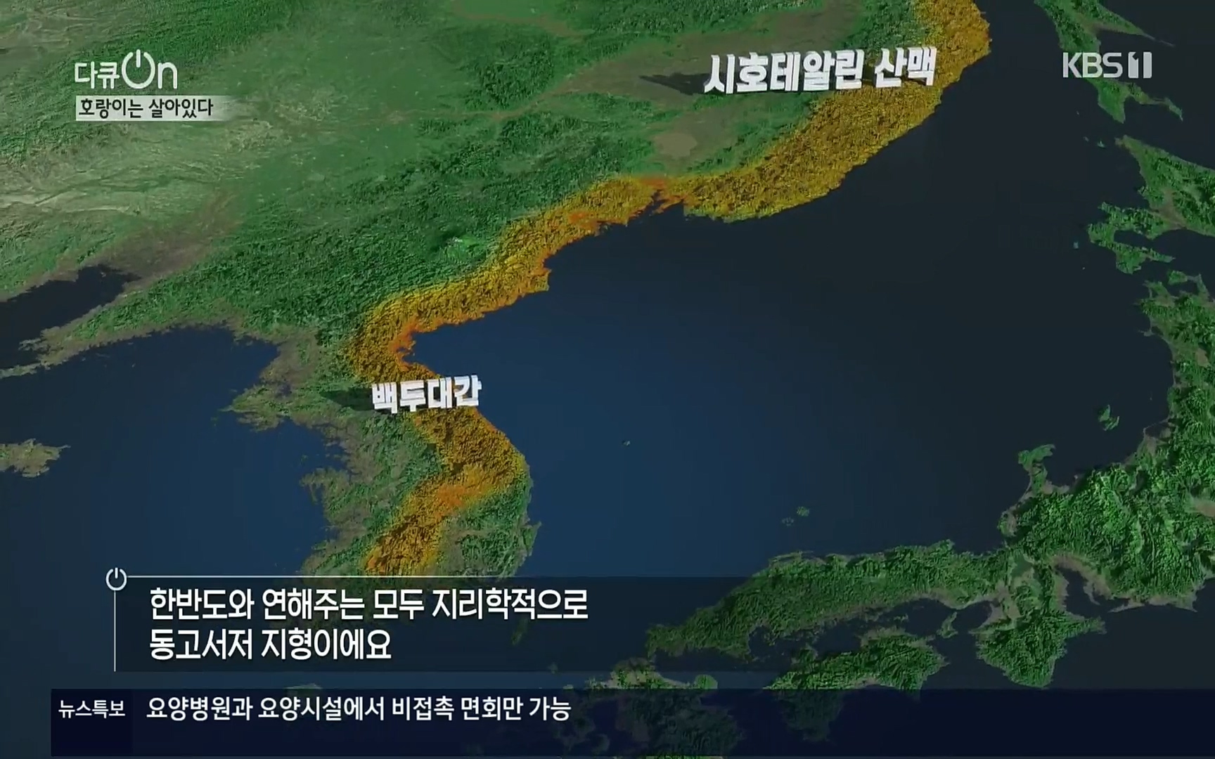다큐 On.E150.220729p.H264-F1RST.mp4_20220730_164038.447.jpg