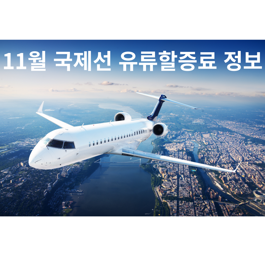  2023년 11월 국제선 유류할증료 | 11월 한국 출발 국제선 유류할증료 정보 | 대한항공 11월 국제선 유류할증료 | 아시아나항공 11월 국제선 유류할증료 | 11월 국내선 유류할증료