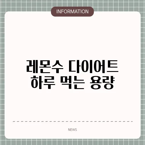 레몬수 다이어트 하루 먹는 용량