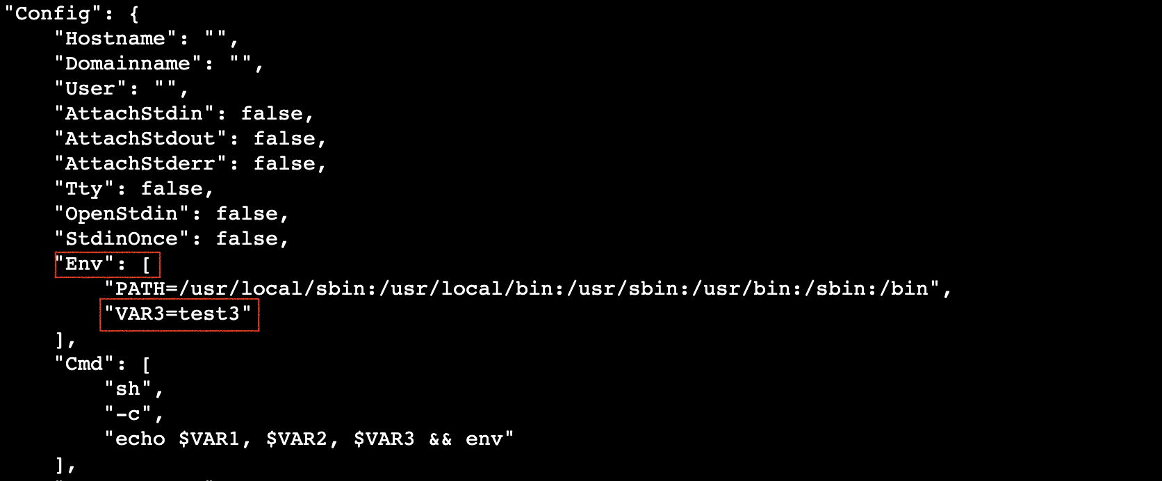 ex_dockerfile_env_2