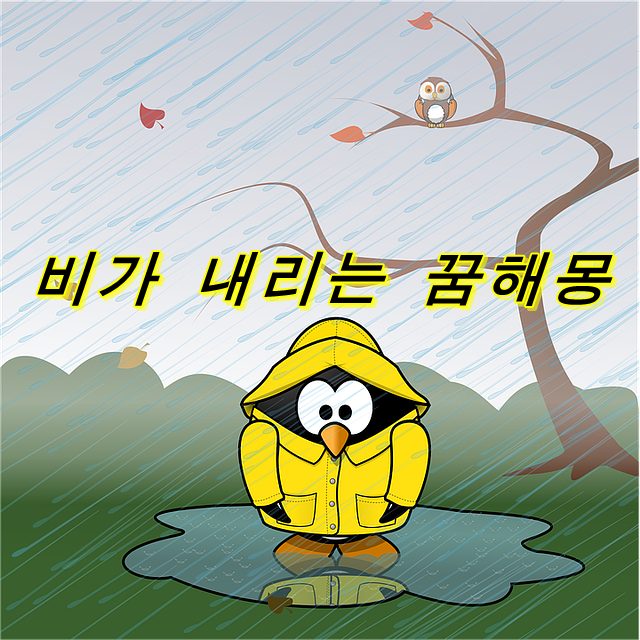  비가 오는 꿈의 의미는? 비가 새는 꿈, 비를 피하는 꿈, 홍수 꿈 등 상황별 꿈 해몽