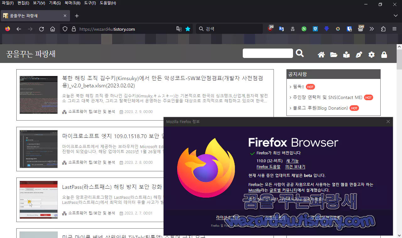 파이어폭스 110.0