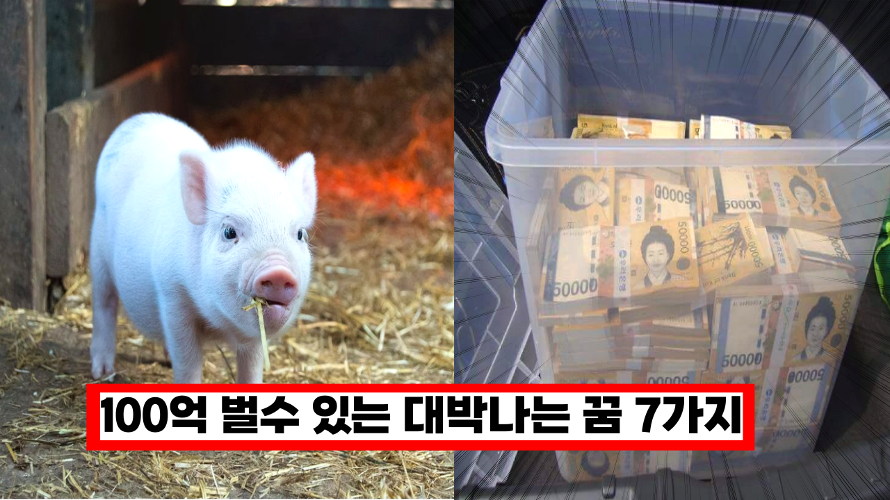  '2022년 올해 나도 복권 당첨!'  100억 벌수 있는 대박나는 꿈 7가지