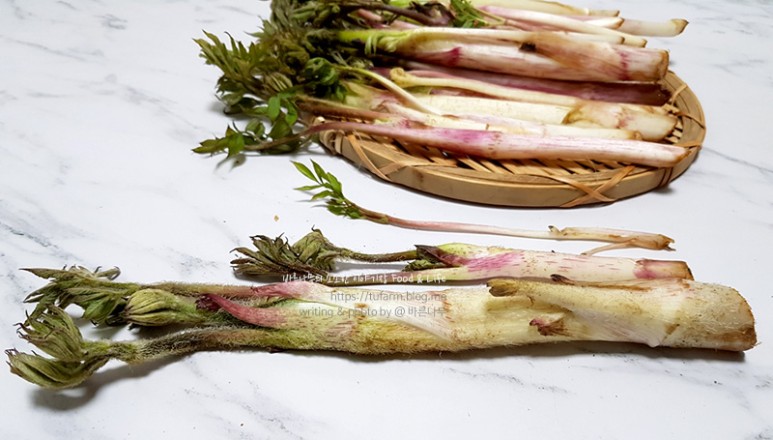 거창 대구 판매 손질 및 보관법 제철 봄나물 우도열매 - 2021년 8