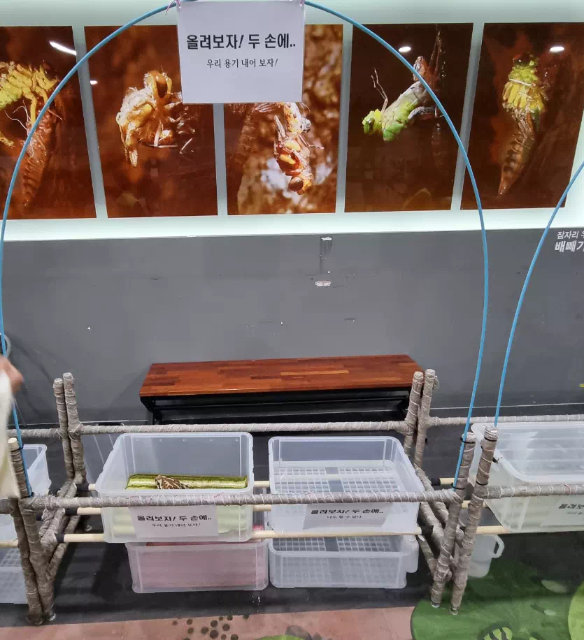 두꺼비-손에올리기-체험
