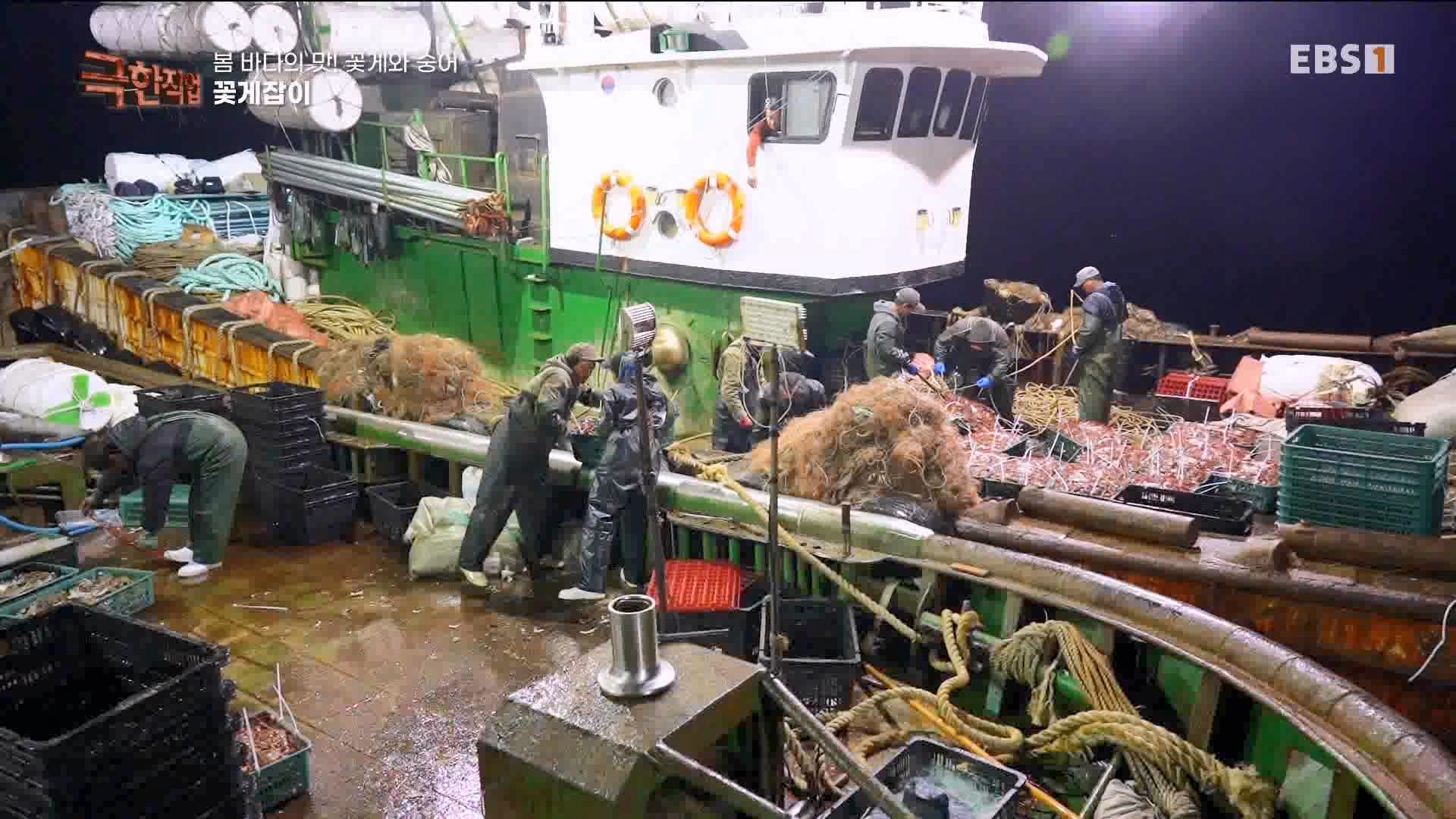 극한 직업 꽃게와 숭어 1080p.mp4_20230530_194644.906.jpg