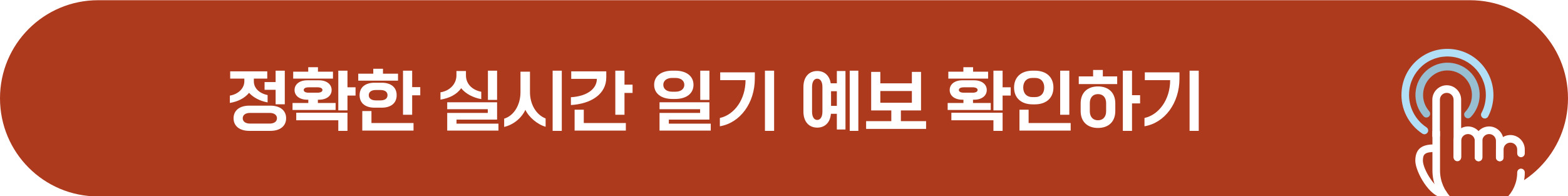 실시간 일기예보 확인