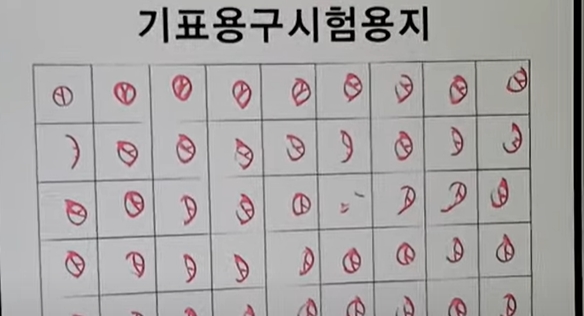  선관위 부정투표...이제 빼도 박도 못하게 됐다