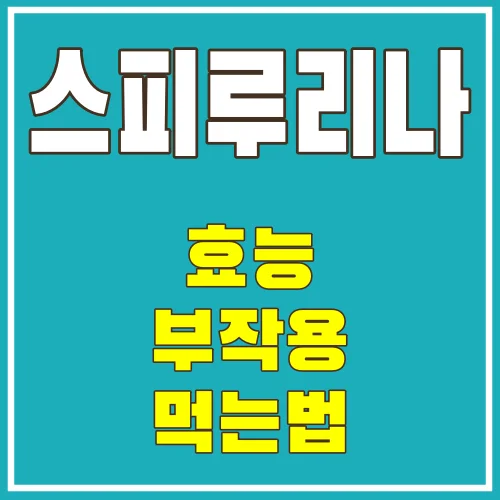 스피루리나효능