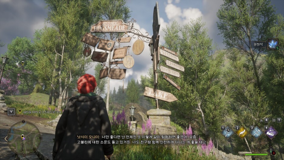 (Hogwarts Legacy) 사소한 게임 스크린샷 모음 39