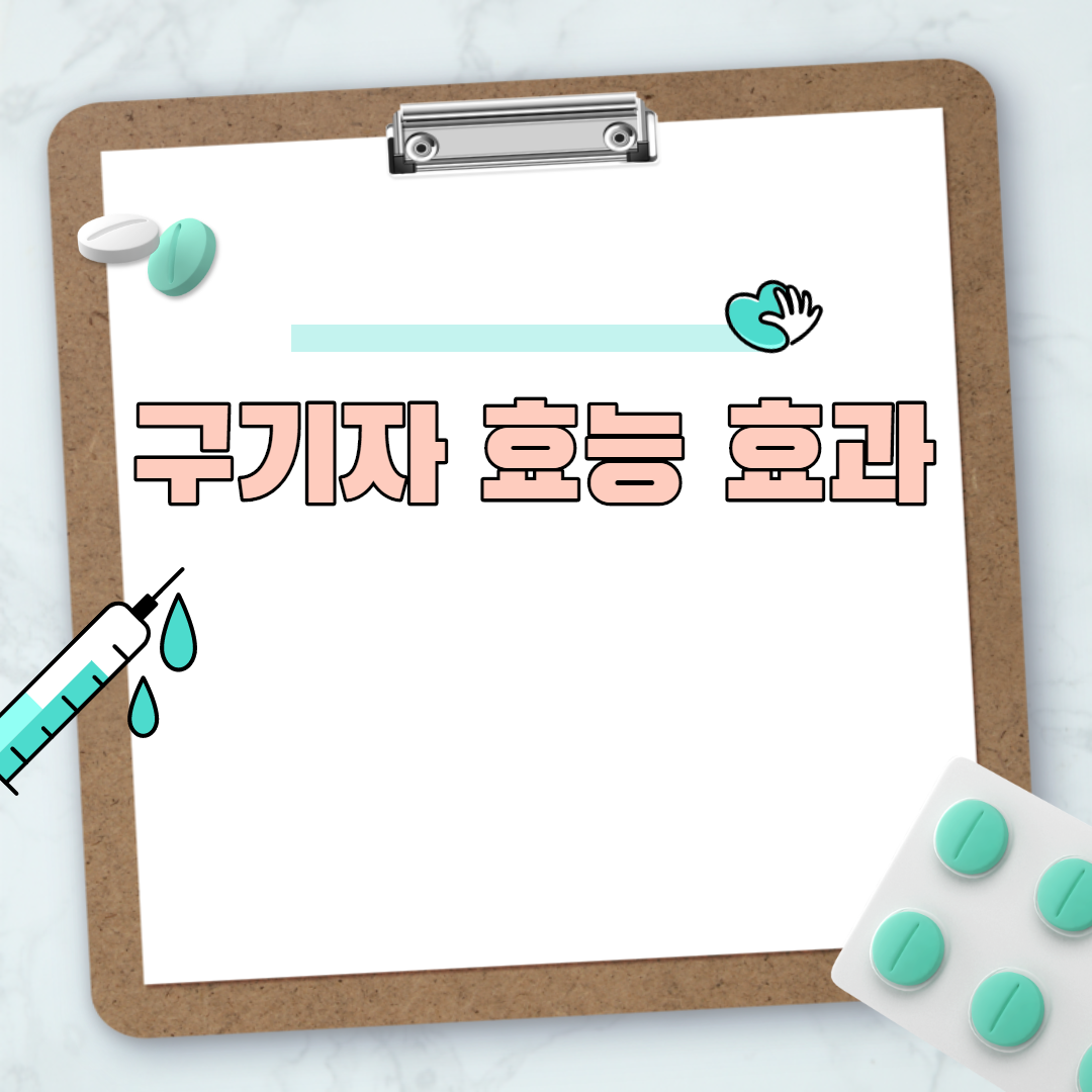  구기자 효능 효과