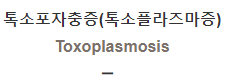 톡소포자충증(톡소플라즈마증) [Toxoplasmosis]