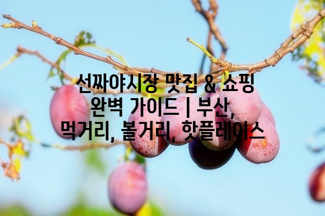 랜덤186