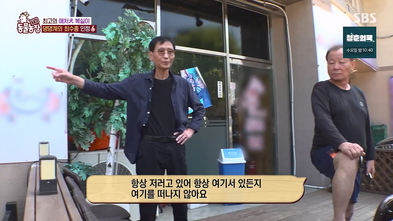 TV 동물농장.E1138.230918p-NEXT.mp4_20230917_174226.542.jpg