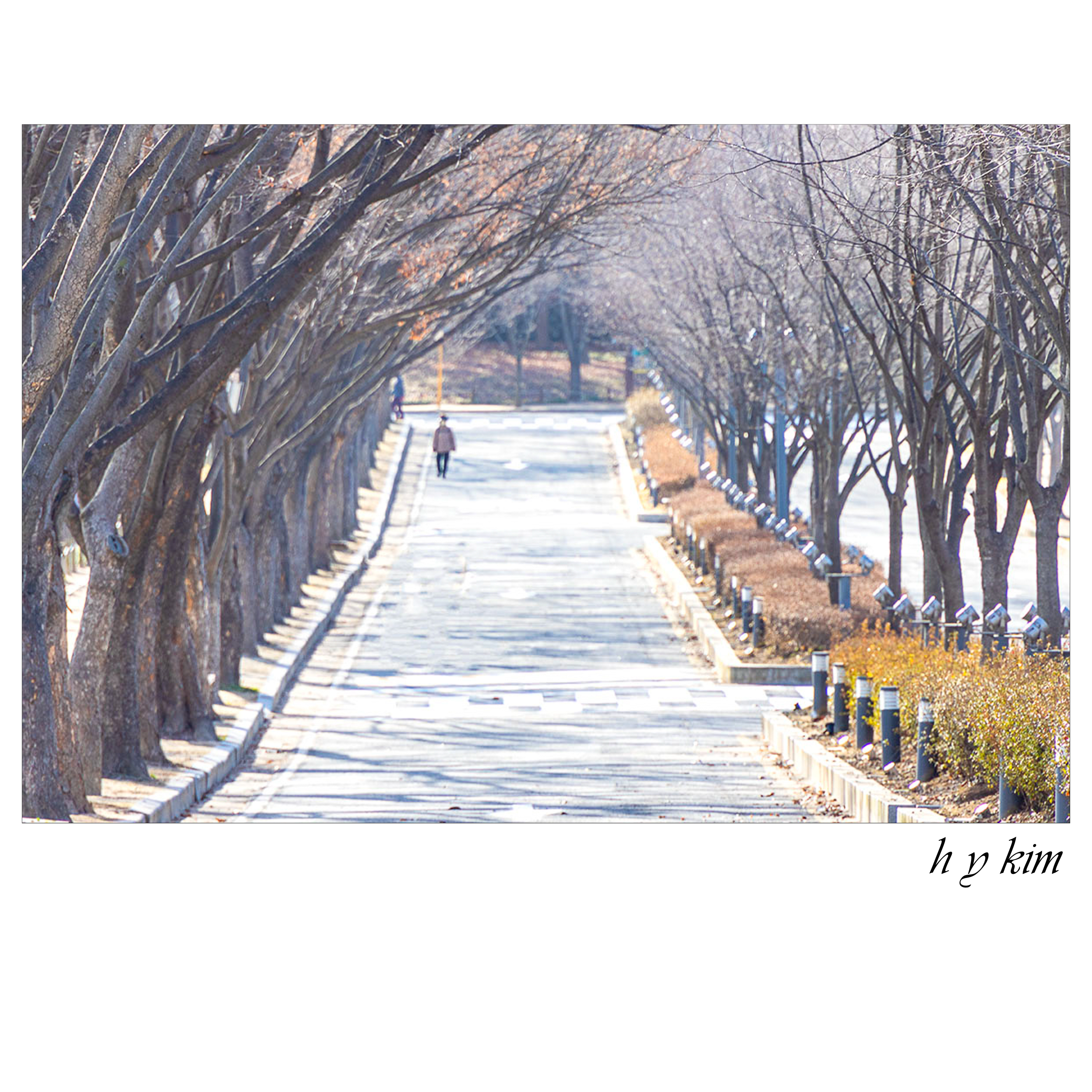 경로 번호 1598 1