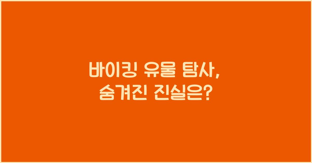 바이킹 유물 탐사