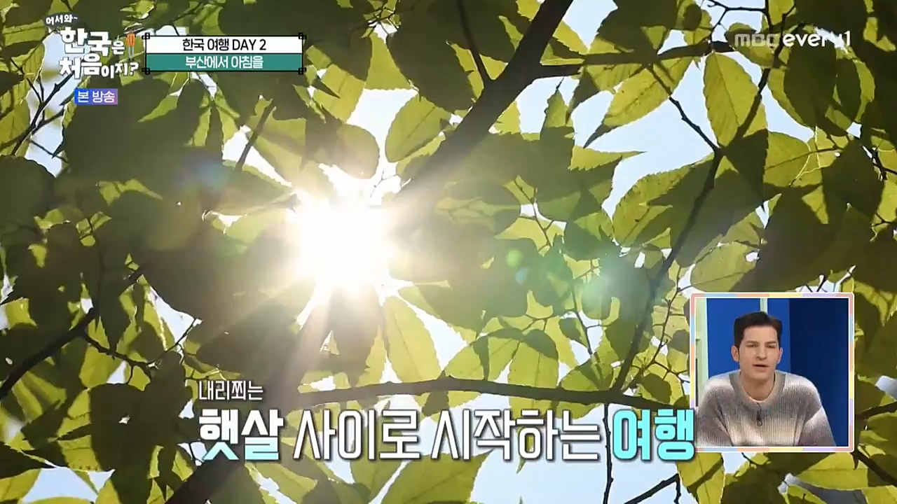 어서와 한국은 처음이지 시즌2.E237.221118p-NEXT.mp4_20221119_183021.650.jpg