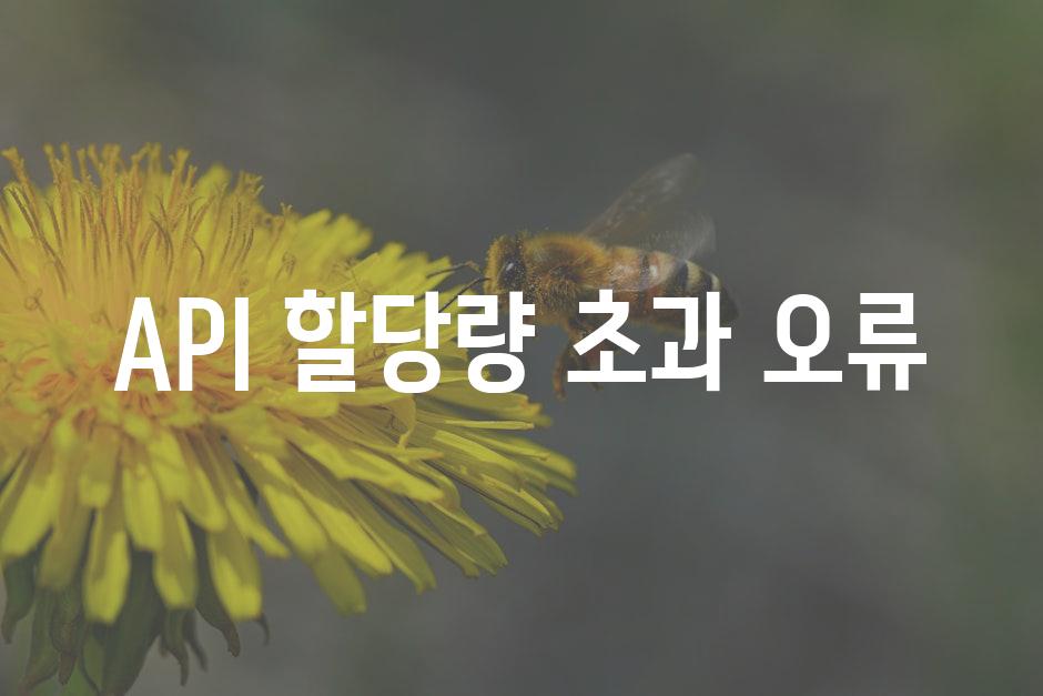 API 할당량 초과 오류 1