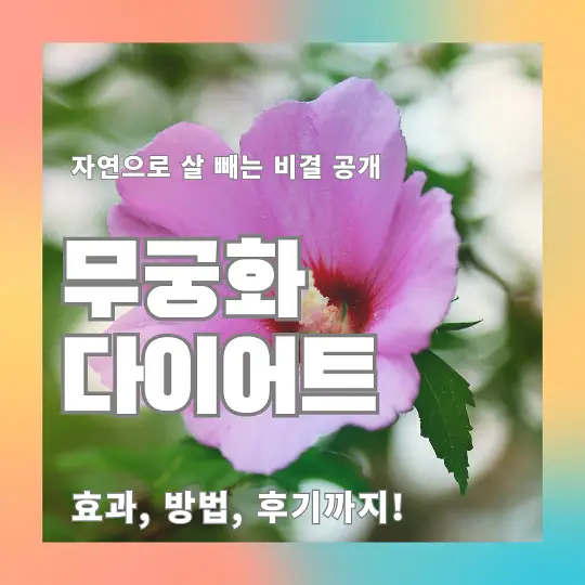 무궁화 다이어트