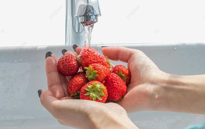 딸기 효과
