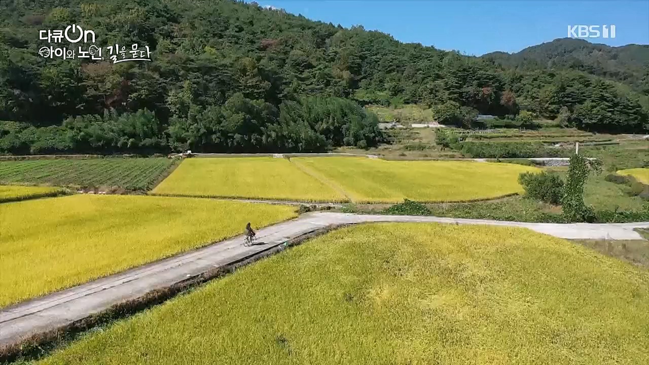 다큐 On.E179.221231p.H264-F1RST.mp4_20230109_210026.010.jpg