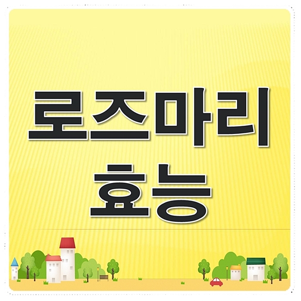  로즈마리 효능 완벽정리 놀랍네요